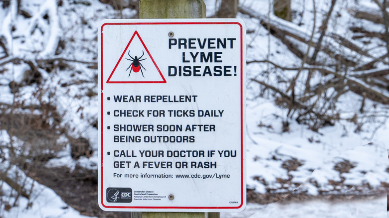 Sign about preventing Lyme disease in a snow-covered forest