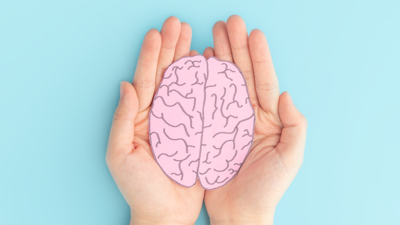 Human hands holding a brain cutout