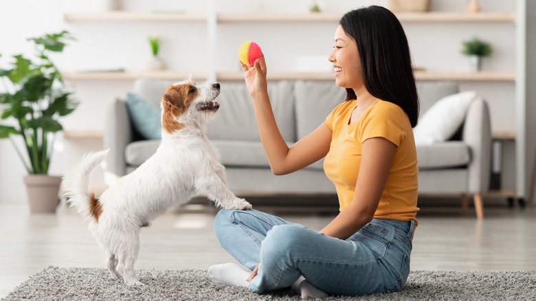 young Asian woman playing with dog