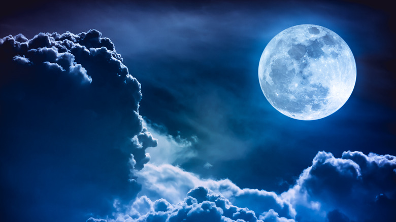 nigh sky with full moon and clouds