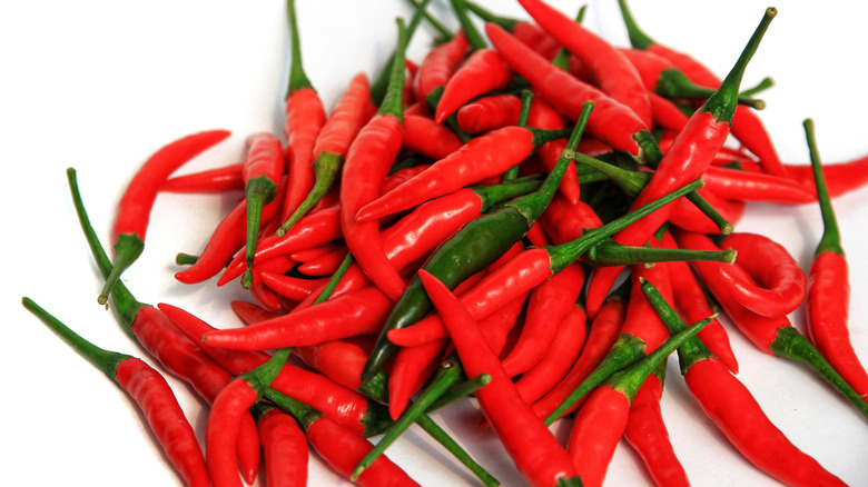 chili peppers against white background