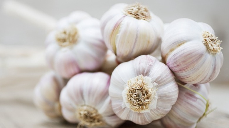 Bulbs of garlic cloves