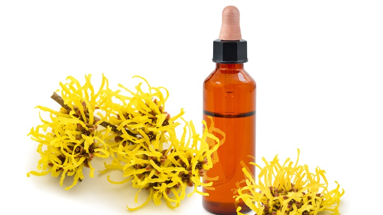 Witch hazel in bottle 