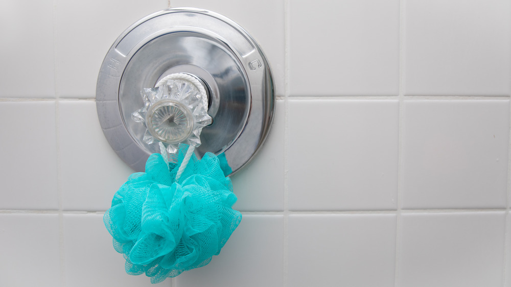 Loofah