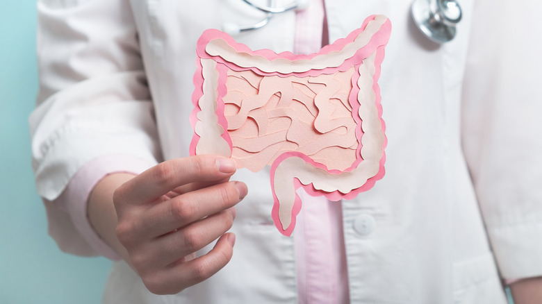 A doctor holds a diagram of an intestine