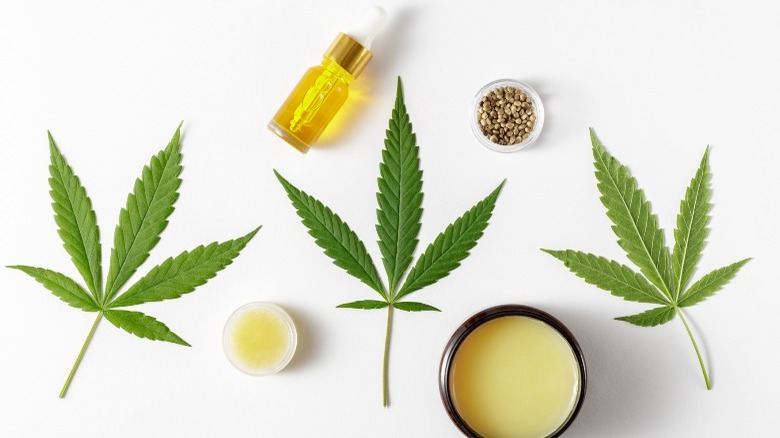 Cannabis leafs and products