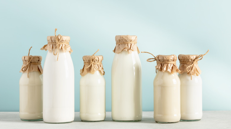 Plant milks in decorative bottles