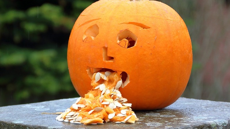 Pumpkin vomiting seeds and pulp