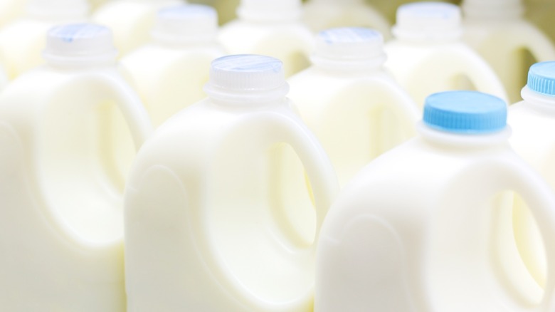 milk bottles in grocery refrigerator