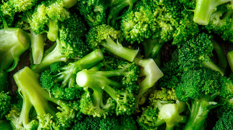 Neatly cut broccoli florets 