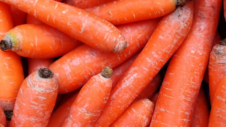 Pile of carrots close-up