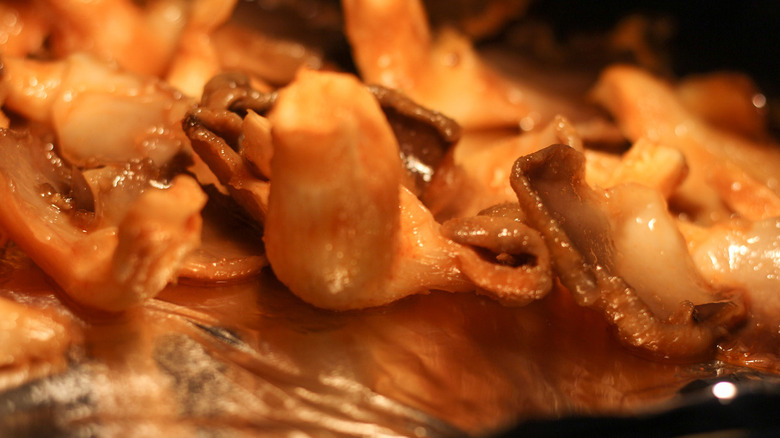 baking oyster mushroom jerky