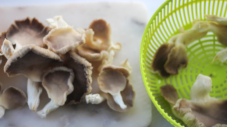 oyster mushroom prep