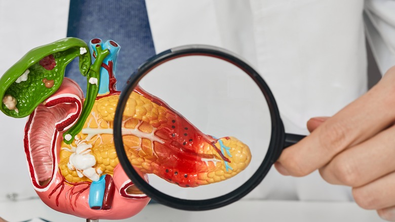  inflamed pancreas behind magnifying glass