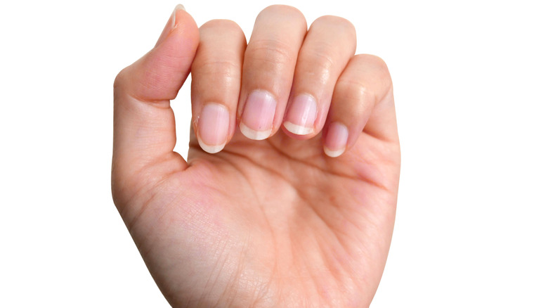 closeup of woman's hands and nails