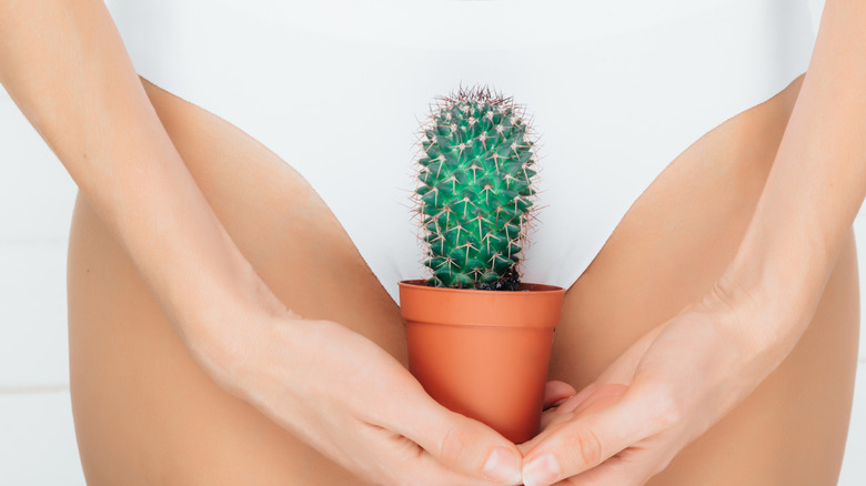 a woman holding a cactus over groin area