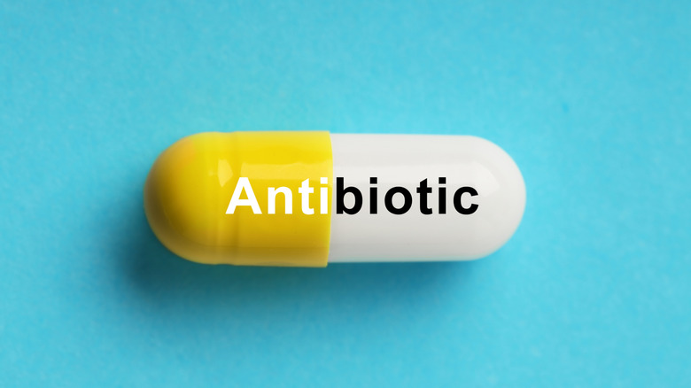 Capsule with the word antibiotic on light blue background