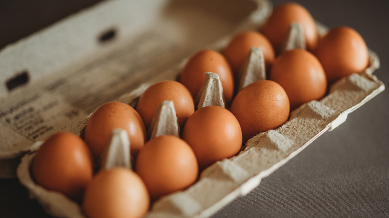 brown eggs in a carton