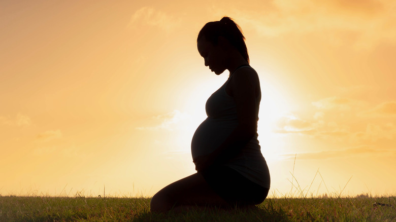pregnant woman on grass against sunset 