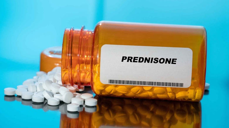 bottle of prednisone tablets