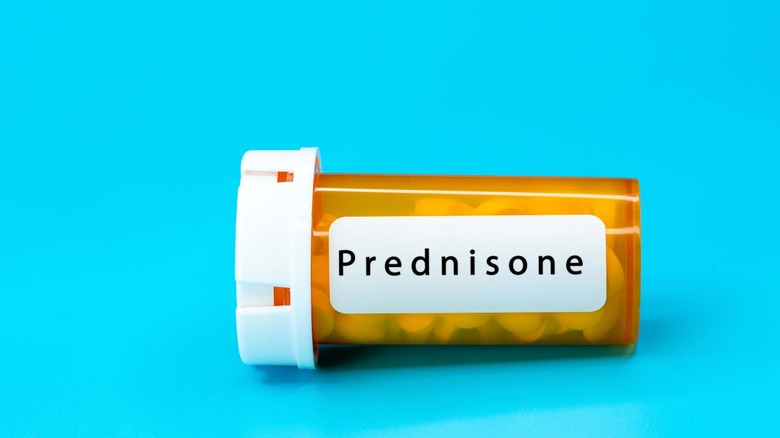 prednisone pill container