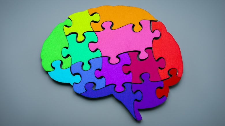 puzzle pieces in brain shape