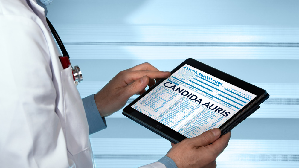 Medical professional holding tablet with words Candida auris
