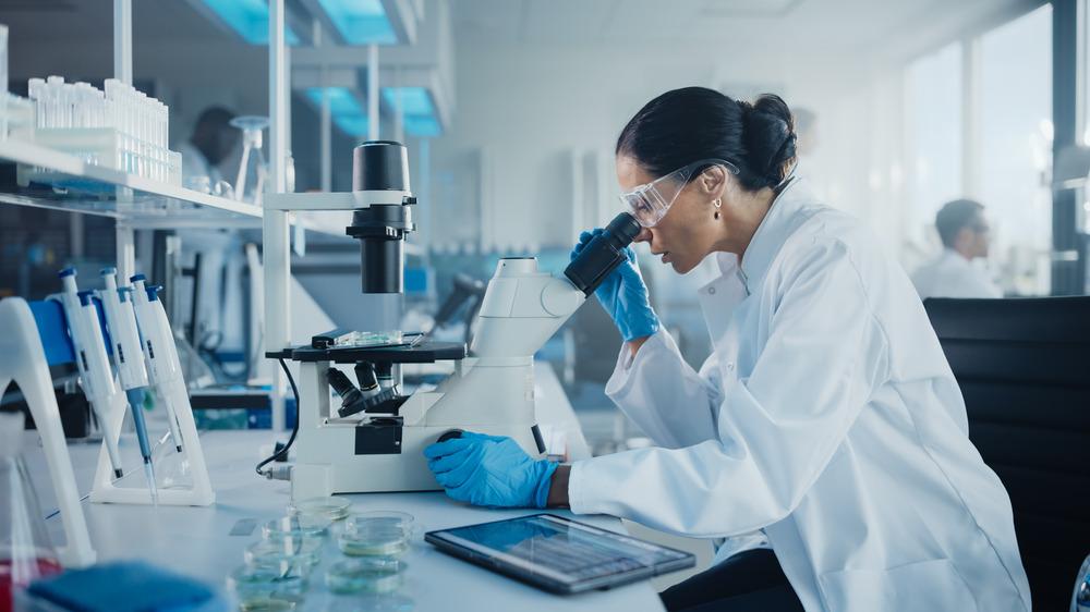 Female scientists looking into a microscope