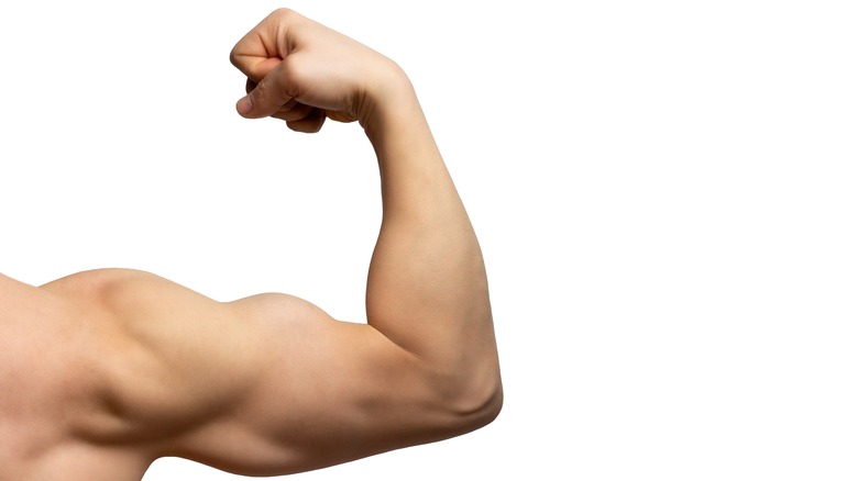 Muscular arm flexing