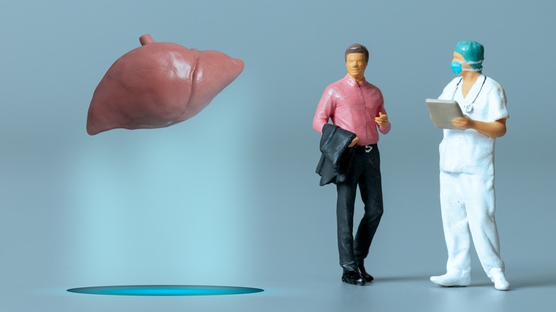 Model of liver, patient, and doctor