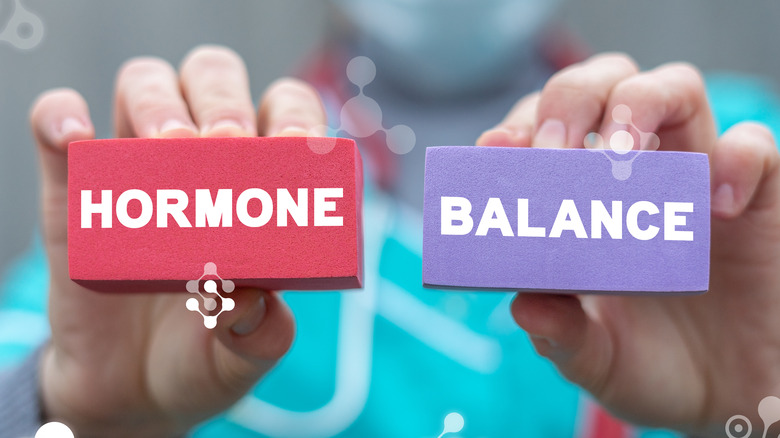 person holding blocks labeled hormone balance