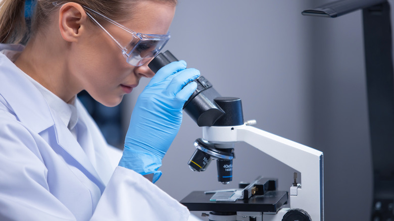 Scientist looking into a microscope in research laboratory