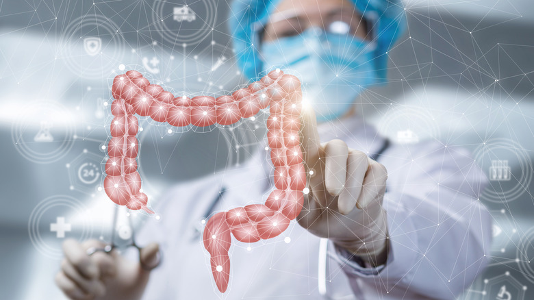 Scientist pointing to digital image of intestines