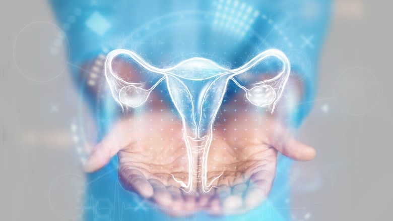 Hands holding hologram of reproductive system