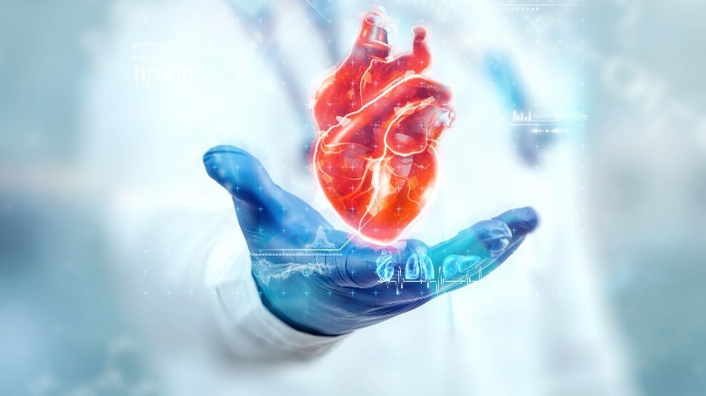 Doctor holding graphic image of heart