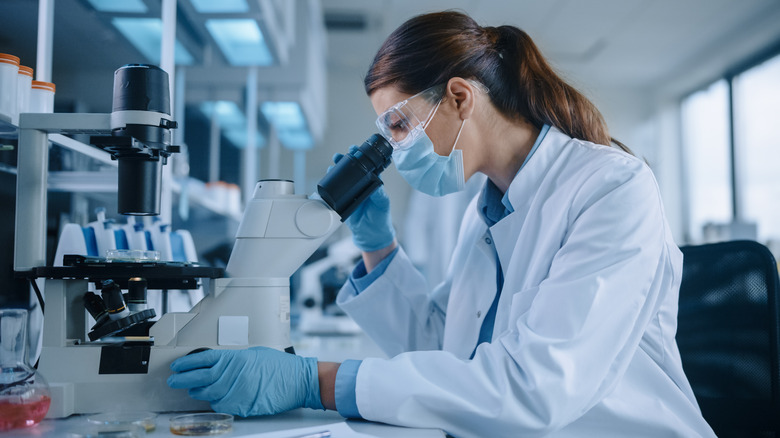 researcher working in lab