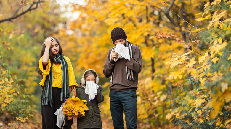 Family with allergies walking through fall leaves