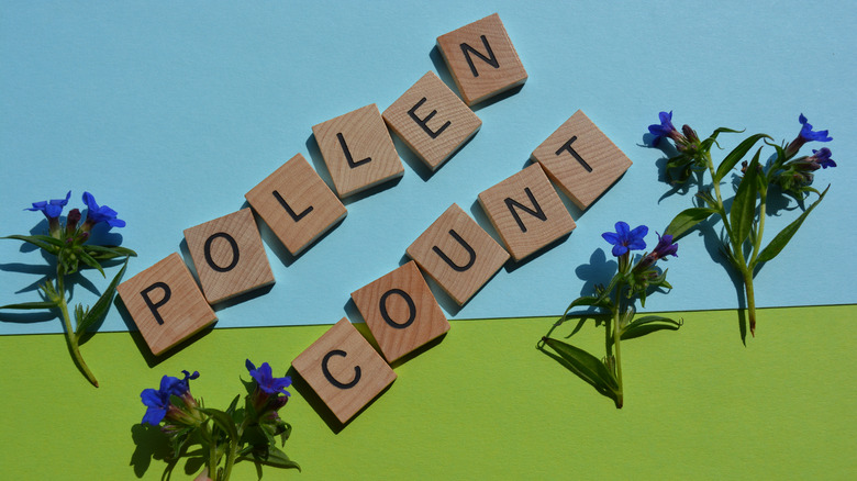 Pollen count spelled out with blocks