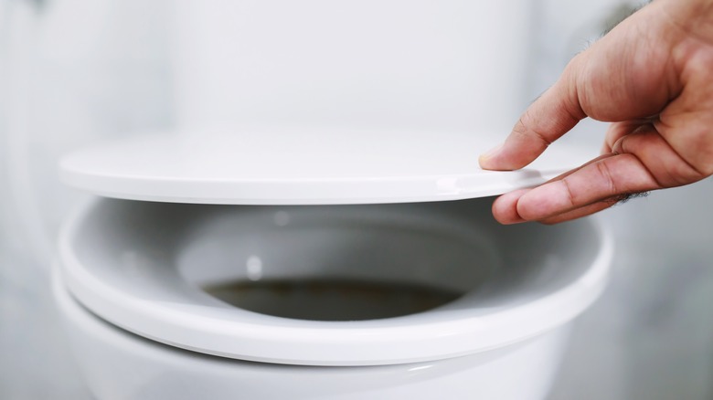 Hand lifting toilet seat
