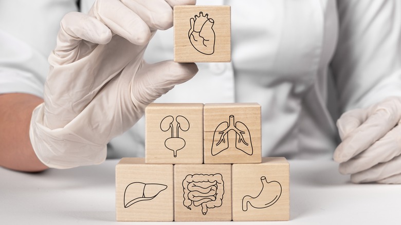 Blocks with organs printed on them