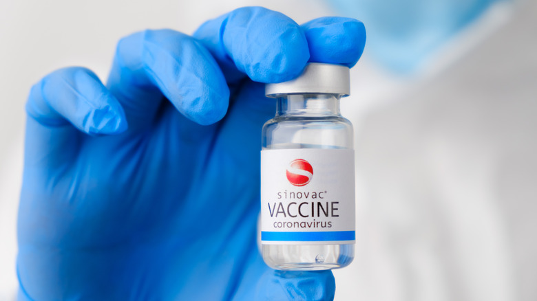 Someone holds a bottle of the Sinovac vaccine