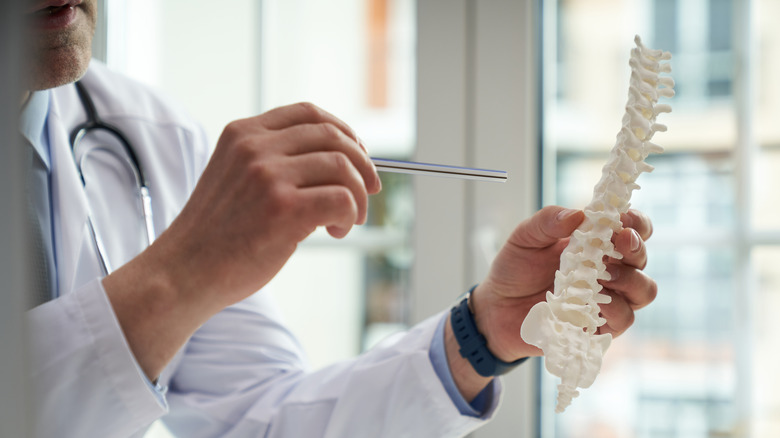 A doctor holding a plastic model of a spine