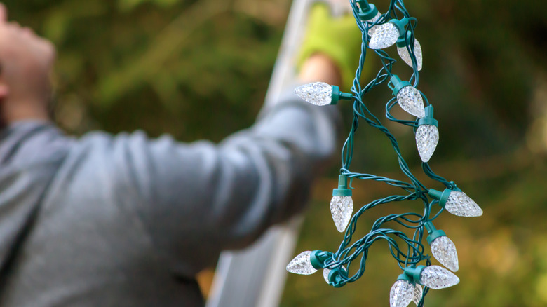 Man climbing ladder to string holiday lights.