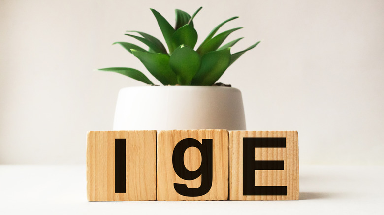 word IgE on wooden blocks