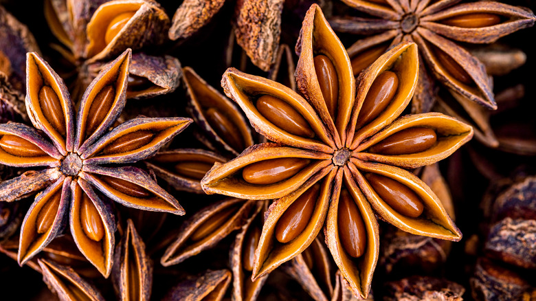 Star anise in close up