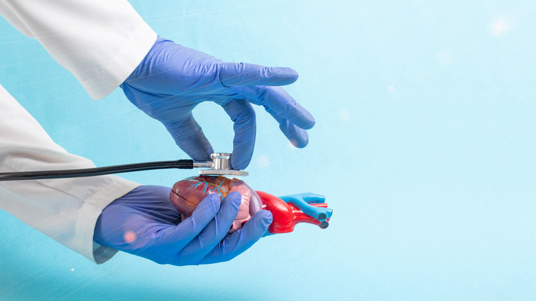 doctor illustrating procedure on dummy heart