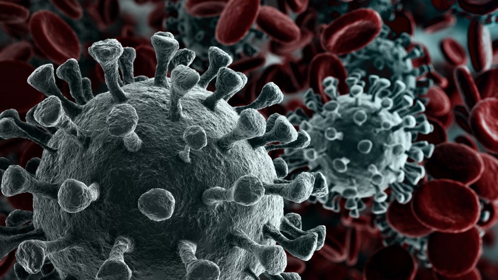 Artist rendering microscope close up of coronavirus