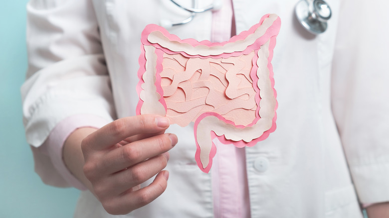 A doctor holds a diagram of an intestine