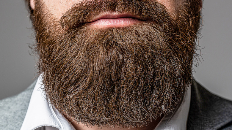 Close up of beard