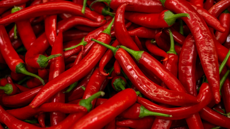 Red chili peppers close up